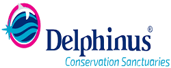 Delphinus World Logo