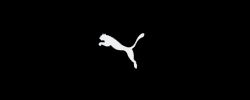 Puma India Logo