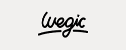 Wegic Ai Logo